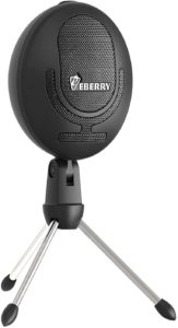 eBerry Cobblestone Microphone