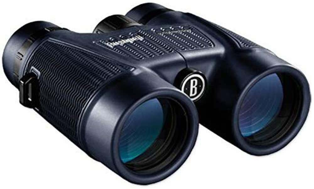 10 Best Binoculars For Wildlife Viewing Our Top Picks For You In 2022