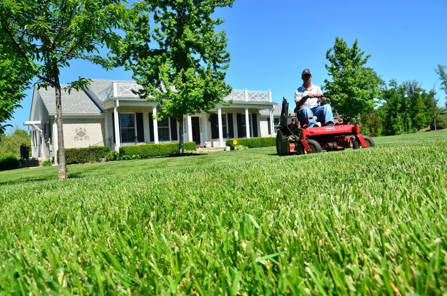 how-often-to-mow-lawn-in-winter-unugtp